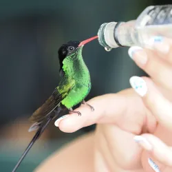Rocklands Bird Sanctuary - Cambridge