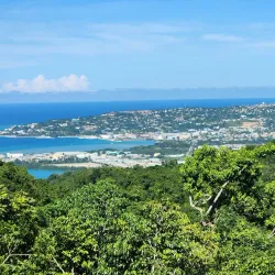 Rocklands Bird Sanctuary - Cambridge