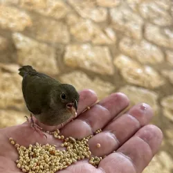 Rocklands Bird Sanctuary - Cambridge