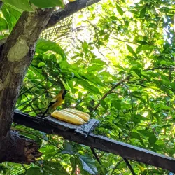 Rocklands Bird Sanctuary - Cambridge