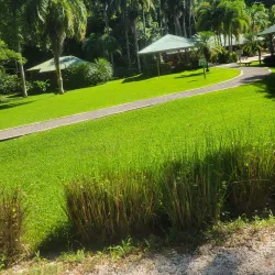 Y.S. Falls - Cambridge