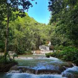 Y.S. Falls - Cambridge