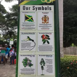 Dunn's River Falls - Claremont