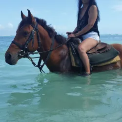 Mammee Bay - Claremont