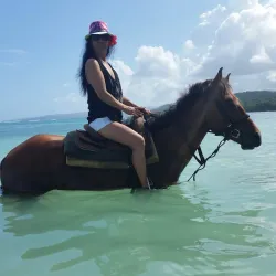 Mammee Bay - Claremont