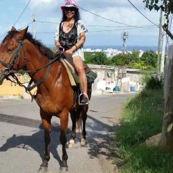 Mammee Bay - Claremont