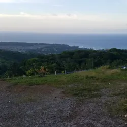 Mammee Bay - Claremont