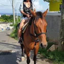 Mammee Bay - Claremont