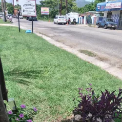 Clarendon Market - Clarendon Park