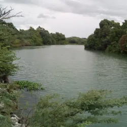 Milk River Caves - Clarendon Park