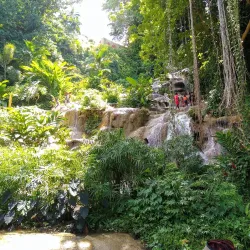 Mocho Falls - Clarendon Park