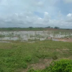 Rio Minho River - Clarendon Park