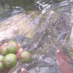 Rio Minho River - Clarendon Park