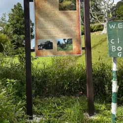 Cinchona Botanical Gardens - Ewarton