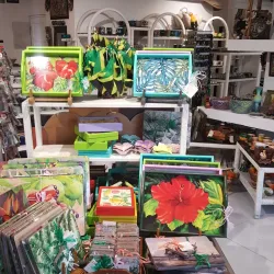 Local Craft Shops - Ewarton