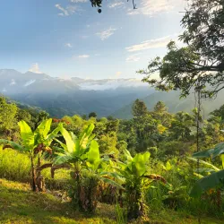 Nearby Blue Mountains - Ewarton