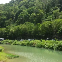 Rio Cobre River - Ewarton