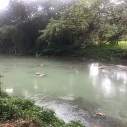 Rio Cobre River - Ewarton