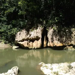 Rio Cobre River - Ewarton