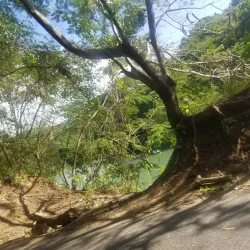 Rio Cobre River - Ewarton