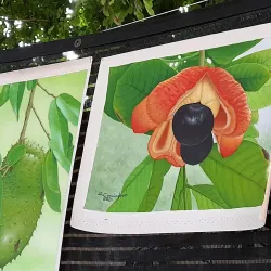 Community Art Gallery - Golden Grove