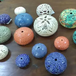 Community Art Gallery - Golden Grove