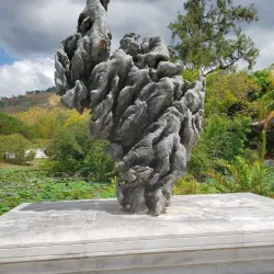 Golden Grove Botanical Gardens - Golden Grove