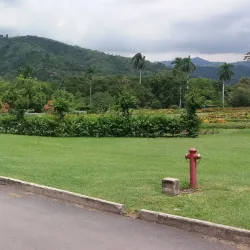 Golden Grove Botanical Gardens - Golden Grove