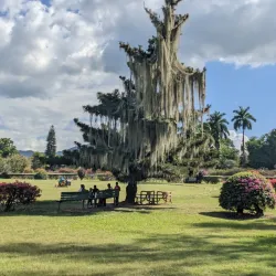 Golden Grove Botanical Gardens - Golden Grove