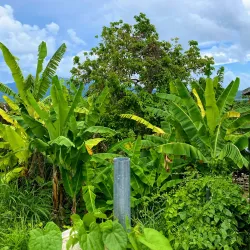 Golden Grove Heritage Site - Golden Grove