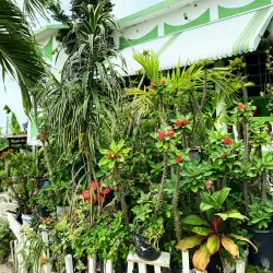 Golden Grove Heritage Site - Golden Grove