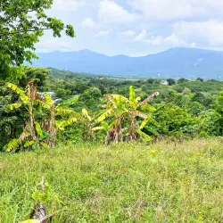 Golden Grove Heritage Site - Golden Grove