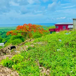 Golden Grove River Walk - Golden Grove