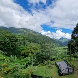 Nearby Blue Mountains Hiking Trails - Golden Grove