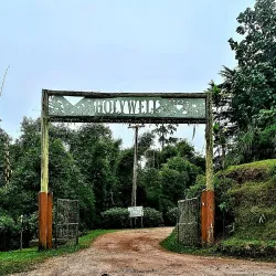 Nearby Blue Mountains Hiking Trails - Golden Grove