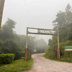 Nearby Blue Mountains Hiking Trails - Golden Grove