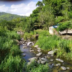 Nearby Blue Mountains Hiking Trails - Golden Grove