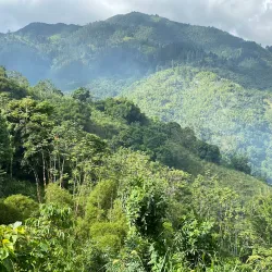 Blue Mountains - Kingston