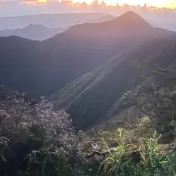 Blue Mountains - Kingston