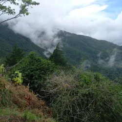 Blue Mountains - Kingston