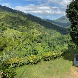 Blue Mountains - Kingston