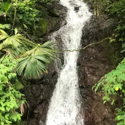 Blue Mountains - Kingston