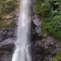 Blue Mountains - Kingston