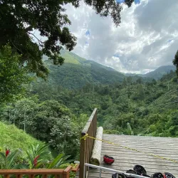 Blue Mountains - Kingston