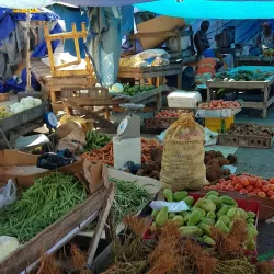 Coronation Market - Kingston