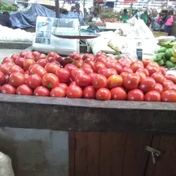 Coronation Market - Kingston