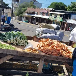 Coronation Market - Kingston