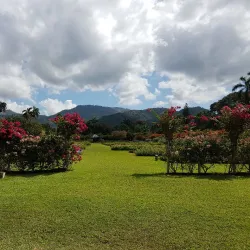 Hope Botanical Gardens and Zoo - Kingston