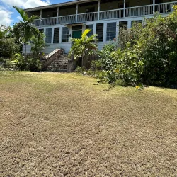 Green Island Great House - Lucea