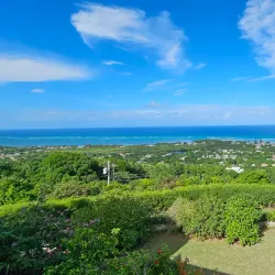 Green Island Great House - Lucea